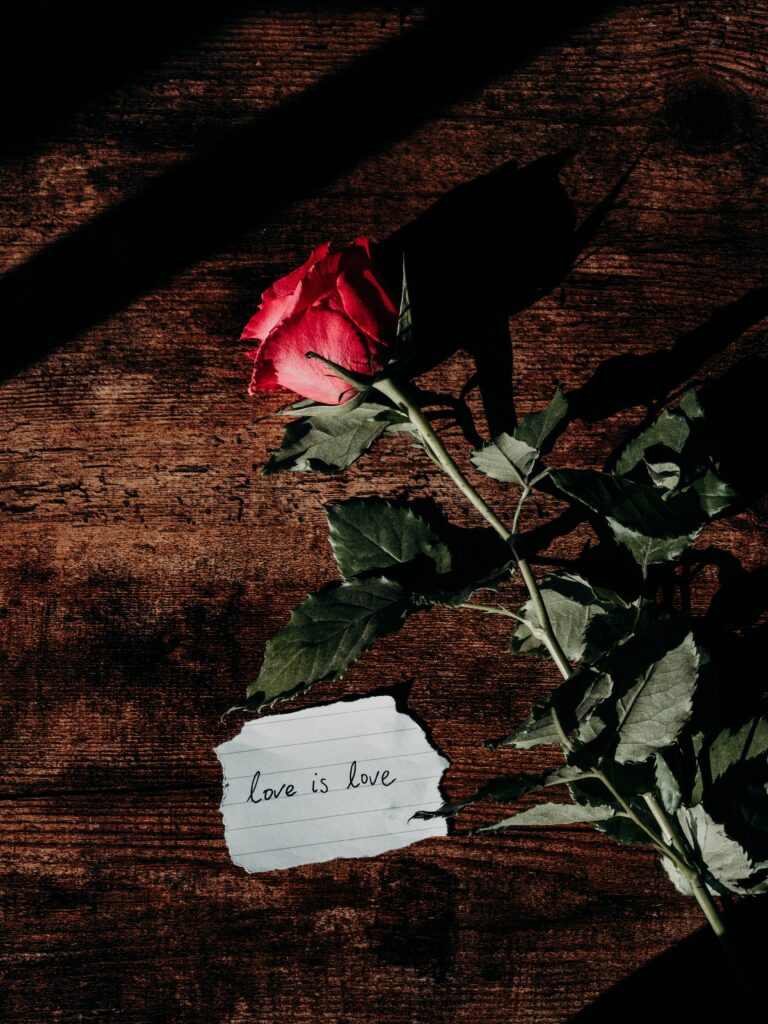 Love is love