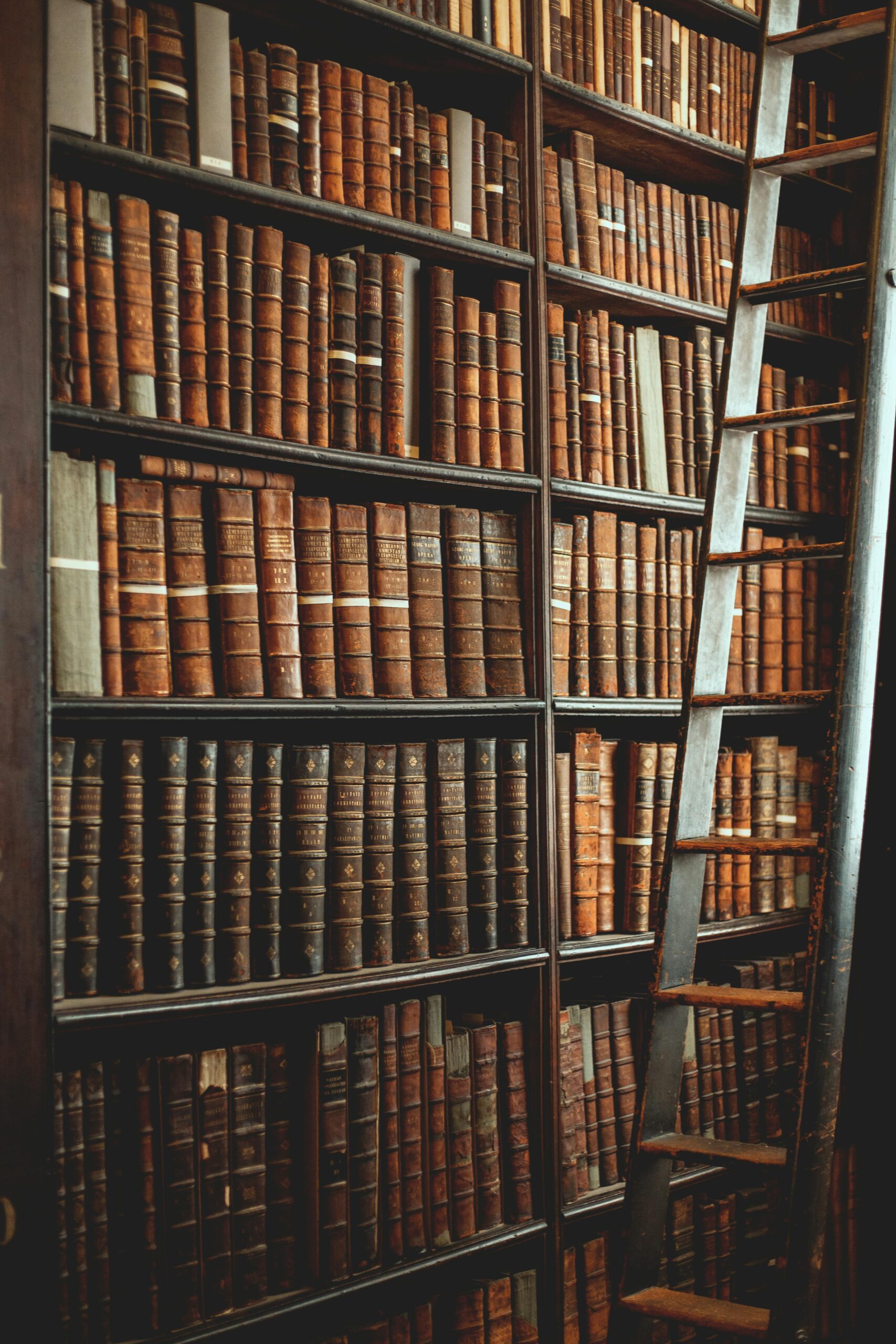 Old library